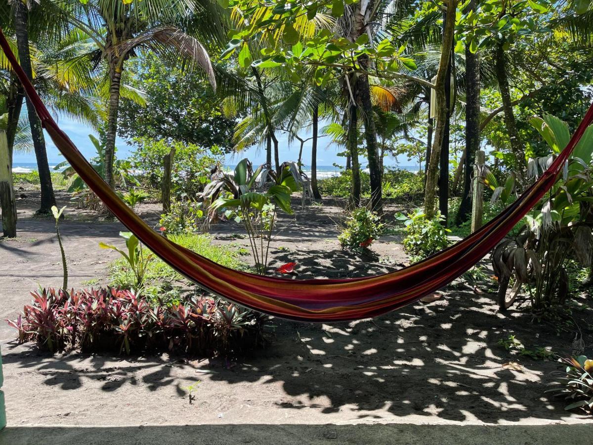Casa Turtle Bogue Hotel Tortuguero Luaran gambar