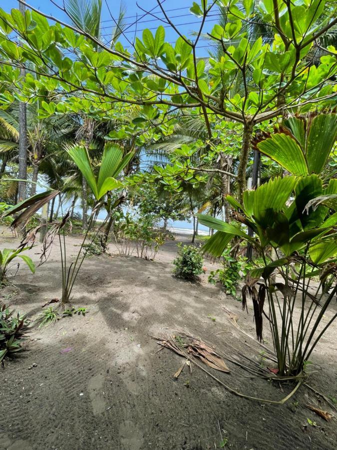Casa Turtle Bogue Hotel Tortuguero Luaran gambar
