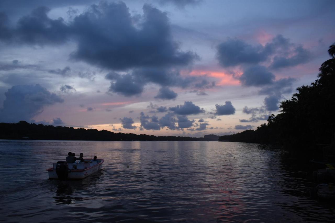 Casa Turtle Bogue Hotel Tortuguero Luaran gambar