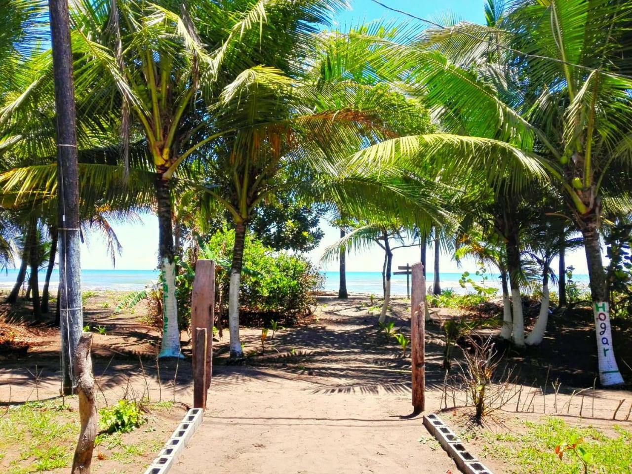 Casa Turtle Bogue Hotel Tortuguero Luaran gambar