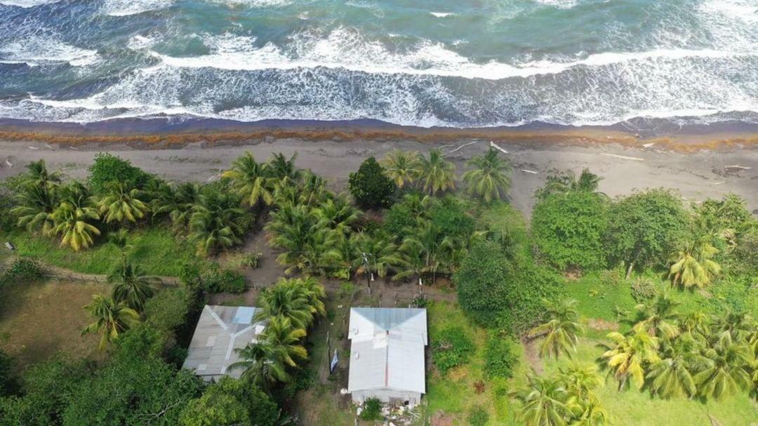 Casa Turtle Bogue Hotel Tortuguero Luaran gambar